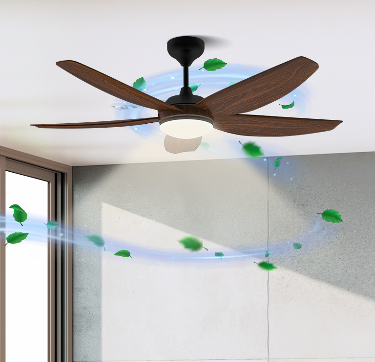 Ceiling Fan